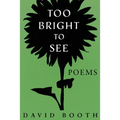 Too Bright to See