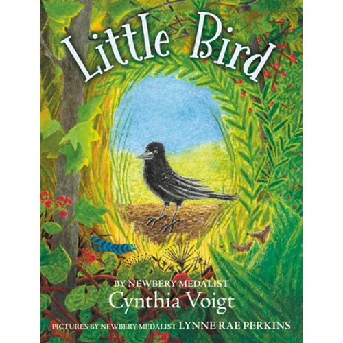 Little Bird