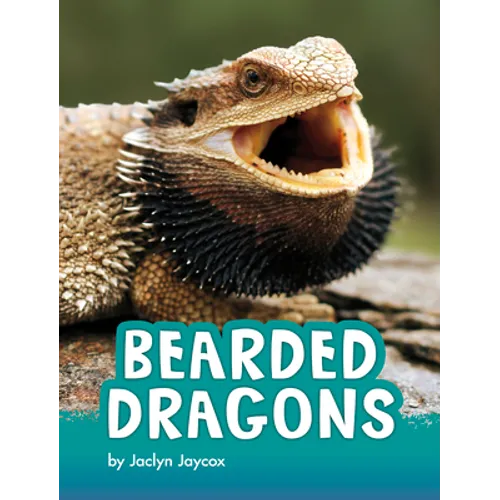 Bearded Dragons