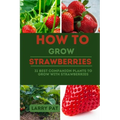 How to Grow Strawberries: 31 best companion plants to grow with strawberries
