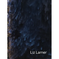 Liz Larner