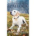 Millie and the Mountain