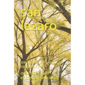 san lazaro: treinta días en oración, y consagración