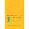 Meditation in Action