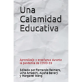 Una Calamidad Educativa: Aprendizaje y enseñanza durante la pandemia de COVID-19