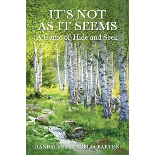 It's Not as It Seems: A Game of Hide and Seek