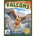 Falcons