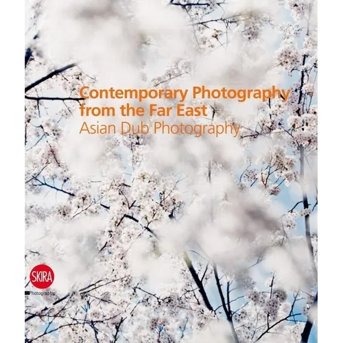Contemporary Photography from the Far East: Asian Dub Photography