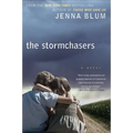 The Stormchasers