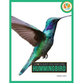 Hummingbird