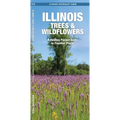 Illinois Trees & Wildflowers: A Folding Pocket Guide to Familiar Plants