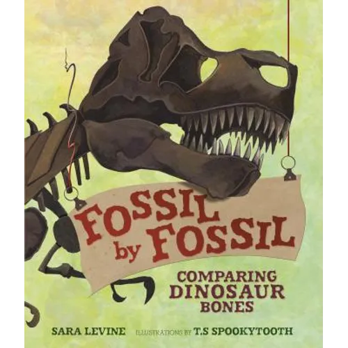 Fossil by Fossil: Comparing Dinosaur Bones
