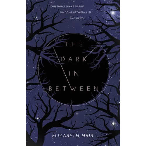 The Dark In-Between