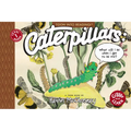 Caterpillars: What Will I Be When I Get to Be Me?: Toon Level 1