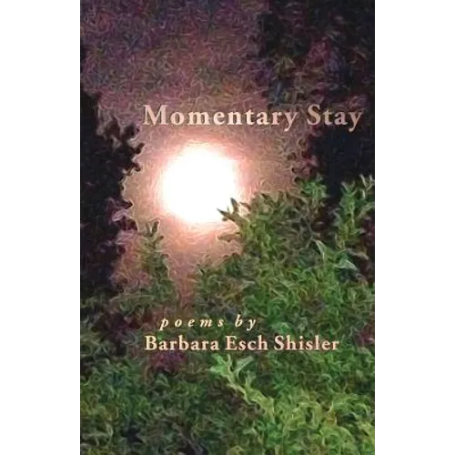 Momentary Stay: Poems