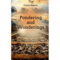 Pondering and Wonderings