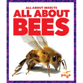 All about Bees