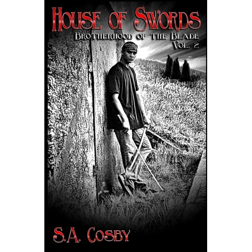 Brotherhood of the Blade: Vol 2: House of Swords