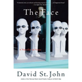 The Face: A Novella in Verse