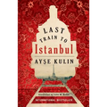 Last Train to Istanbul