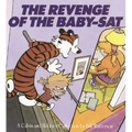 Revenge of the Baby-SAT