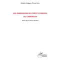 Les dimensions du droit syndical au Cameroun