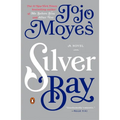 Silver Bay
