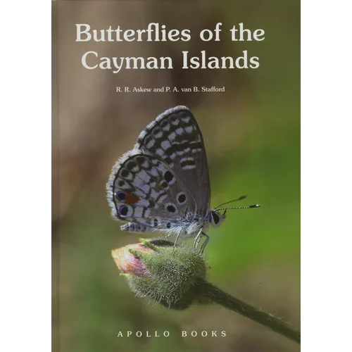 Butterflies of the Cayman Islands