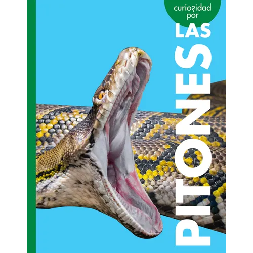 Curiosidad Por Las Pitones
