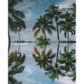 Palm Tree Destinations