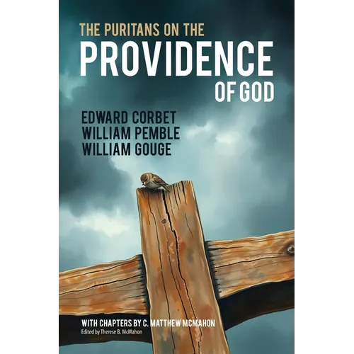 The Puritans on the Providence of God