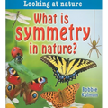 What Is Symmetry in Nature?