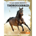 Thoroughbred