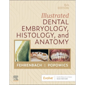 Illustrated Dental Embryology, Histology, and Anatomy