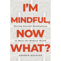 I'm Mindful, Now What?: Moving Beyond Mindfulness to Meet the Modern World