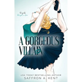 A Gorgeous Villain Special Edition Paperback