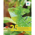 Wildlife In Central America 1: 25 Amazing Animals Living in Tropical Rainforest and River Habitats