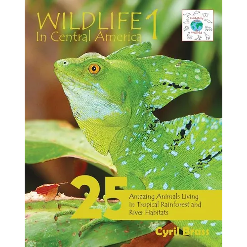 Wildlife In Central America 1: 25 Amazing Animals Living in Tropical Rainforest and River Habitats