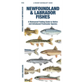 Newfoundland & Labrador Fishes: A Folding Guide to Native and Introduced Freshwater Species