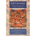 Self-Liberation Through Seeing with Naked Awareness
