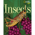Insects