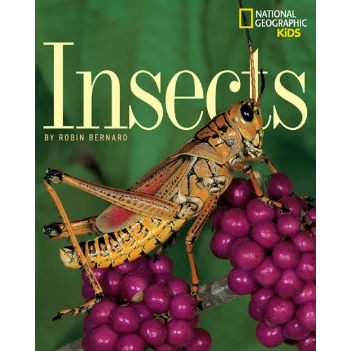 Insects