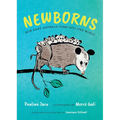 Newborns: How Baby Animals Come Into the World
