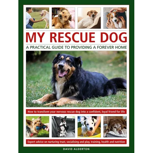 My Rescue Dog
