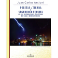 Puestas a Tierra y Seguridad Técnica en las Instalaciones Eléctricas de Baja y Media Tensión: Colección ingeniería eléctrica