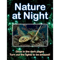 Nature at Night