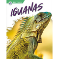 Iguanas