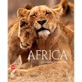 Africa: Discovering Wildlife Parks