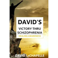 David's Victory Thru Schizophrenia: Healing Awareness