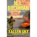 Fallen Sky: an action-adventure technothriller story